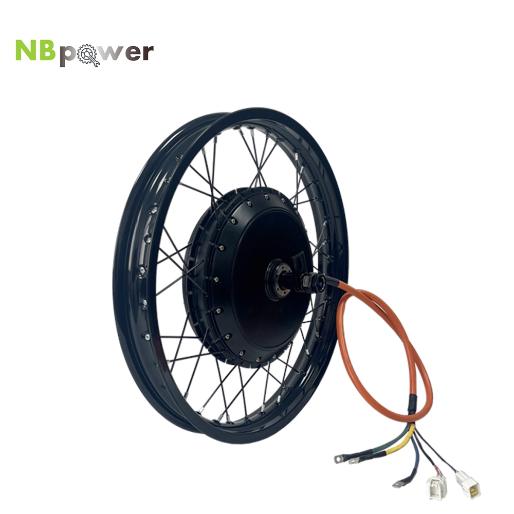 NBpower/170mm Dropout QS 273 4 - đánh giá và giá Qs Motor 273 8000W Hub Motor